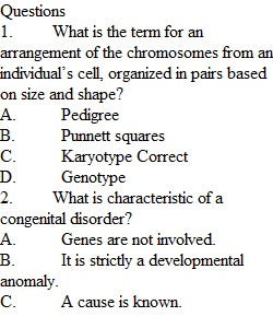 Week 8 Quiz